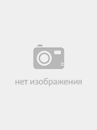 Футболка B2579/portland